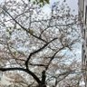 Фото профиля 佐藤和也