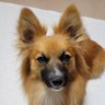 えるちゃんと日向君 profil fotoğrafı