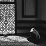 Musafir's profile picture