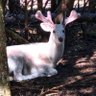 Edward Morton's profile picture