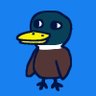quacks profil fotoğrafı