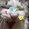 Фото профиля TRPG猫ちゃん寝る。