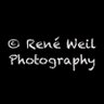 Rene Weil Photography's profile picture