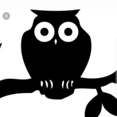 بوف کر's profile picture