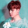 jiminicricket 的头像