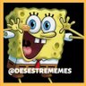 @DesestreMemes's profile picture