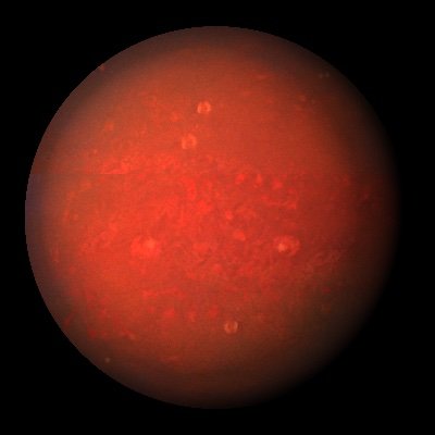𝐑𝐄𝐃 𝐌𝐈𝐒𝐓's profile picture