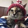 かんくず profil fotoğrafı