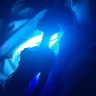 Фото профиля muddprincess16