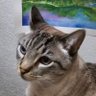 Kurono profil fotoğrafı