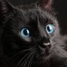 ☆☆たまきち profil fotoğrafı