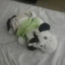 Daisy The Cow 的头像