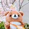 さやまめ 的头像