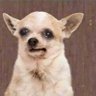 KIPKOECH KELVIN's profile picture