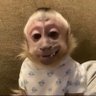 Profilbild von auntie ruckus