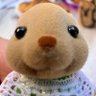 Profilbild von ๐๐ป