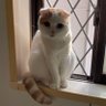 KOTAROU_0112's profile picture