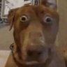 Tutur's profile picture