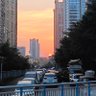 Фото профиля 玉门关外杨柳青