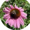 Steve Price's profile picture