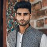 Shahsawar Mirdoust's profile picture