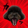 ハナマル|セナとリオン 的头像