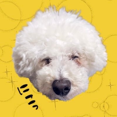 TAGO88952994's profile picture