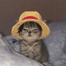 ZaryaTch's profile picture