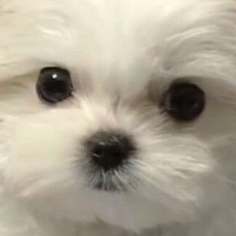 유's profile picture