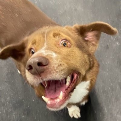 Phil Drake's profile picture