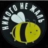 nr017's profile picture