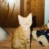 Ilominator micky profil fotoğrafı