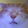 Hank's profile picture