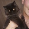 Profilbild von kitty