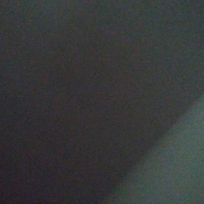 AlidaVerhe50187's profile picture