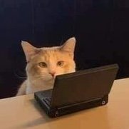 stutxo's profile picture