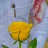 21 فبراير's profile picture
