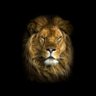Фото профиля Ariel “Leo” Ortiz