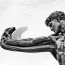 arminius's profile picture