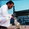 ابو محمد الصقير 的头像