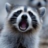 KabooKatoo ~ Social media OWWC Ireland's profile picture