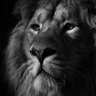 Pakitos89 profil fotoğrafı