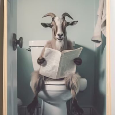vardy_101's profile picture