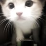 psihais's profile picture