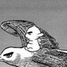 Julián Carax's profile picture
