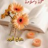 عبدالله 的头像