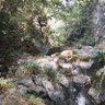李原风 profil fotoğrafı