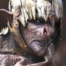 Фото профиля Orco ⭐⭐⭐📯