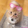 Фото профиля socdarling 🎀🔆