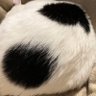 Profilbild von aaa♀